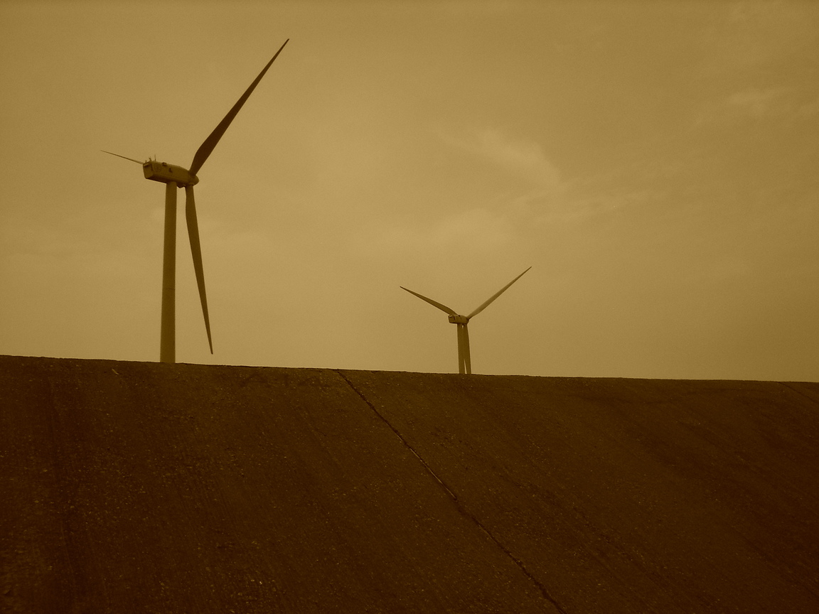 自行車道駐足拍攝