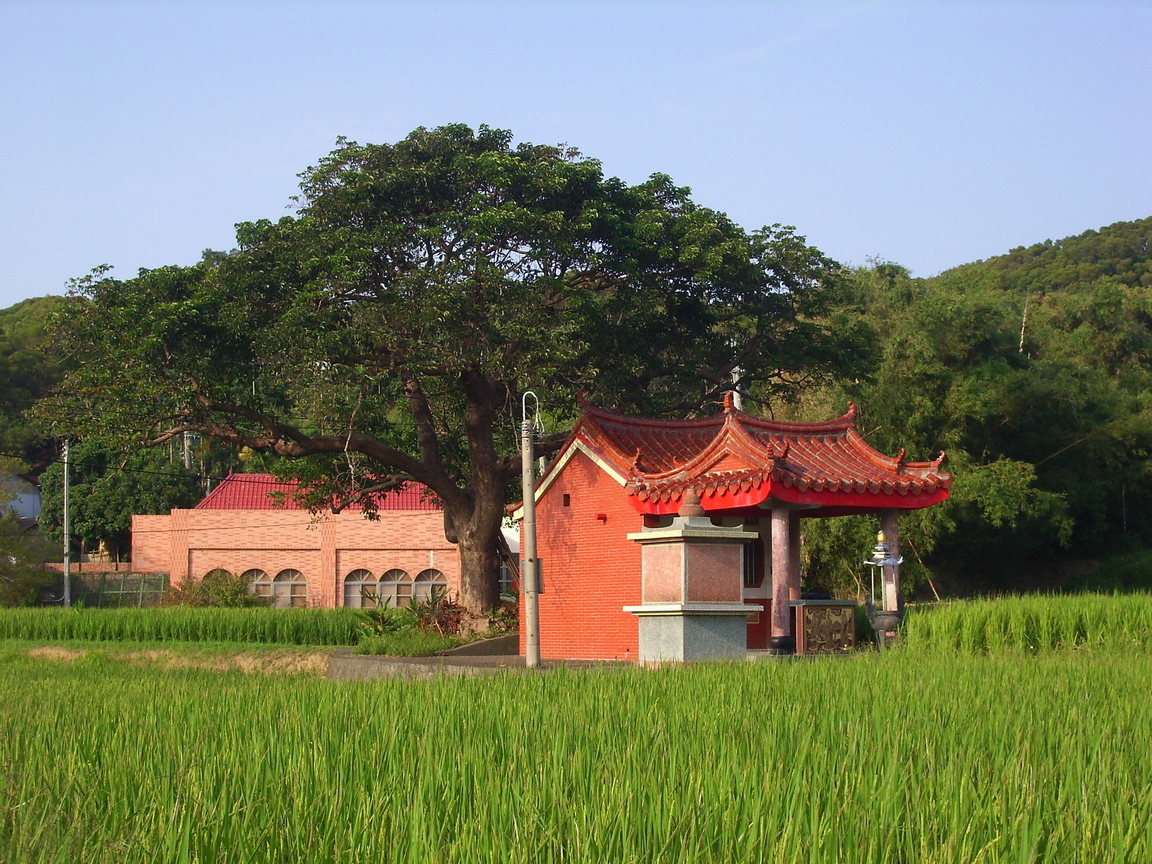 楓樹里的土地廟