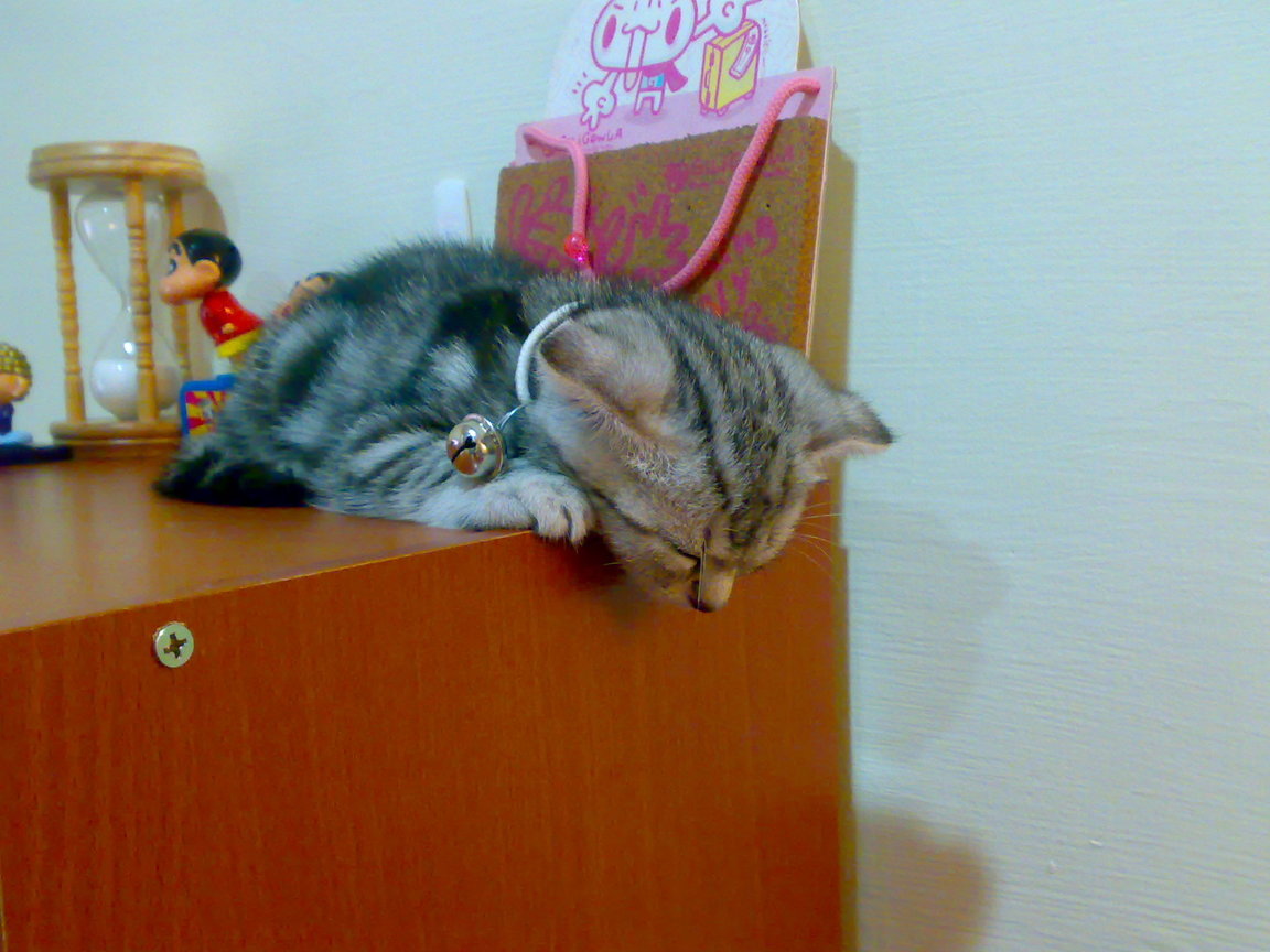 20081005283