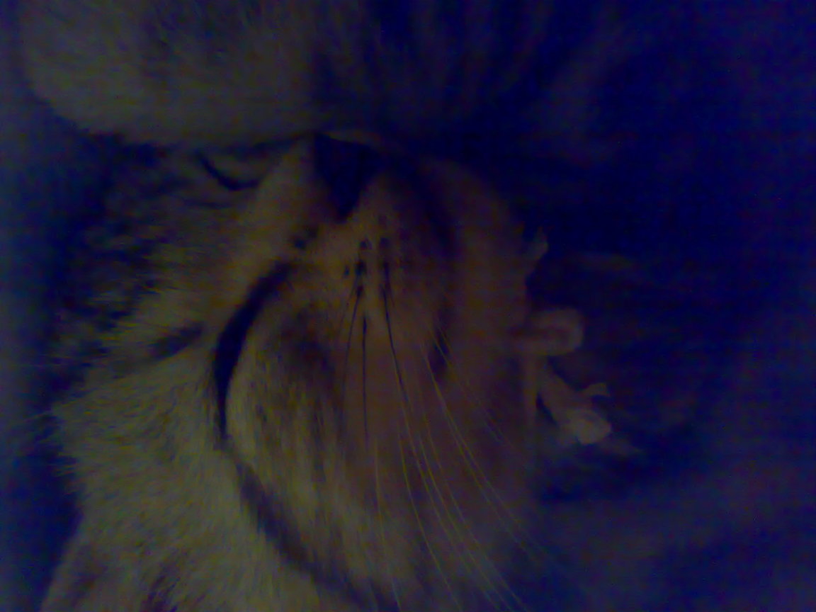 20081004270