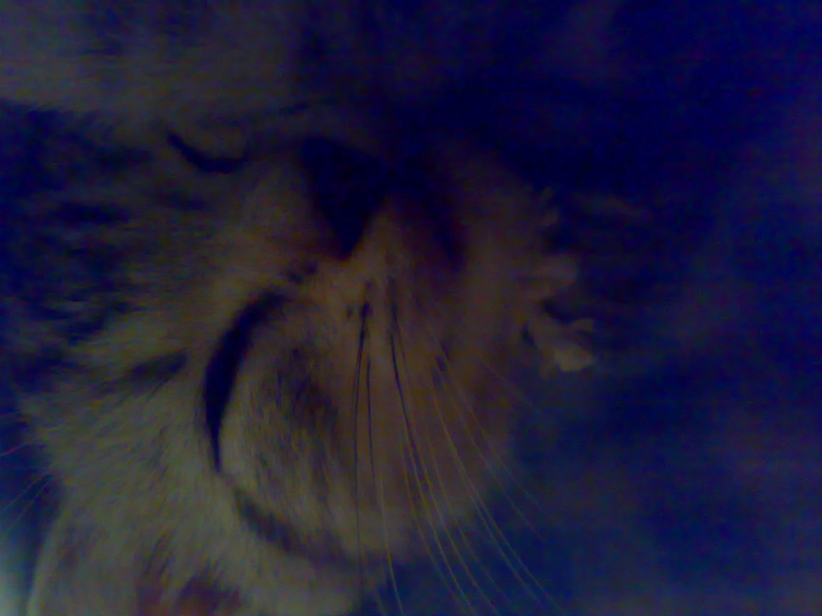 20081004271