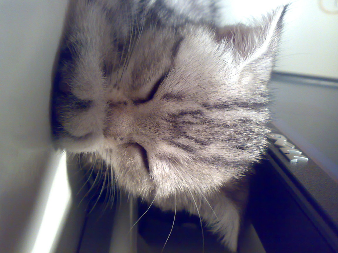 20081005312