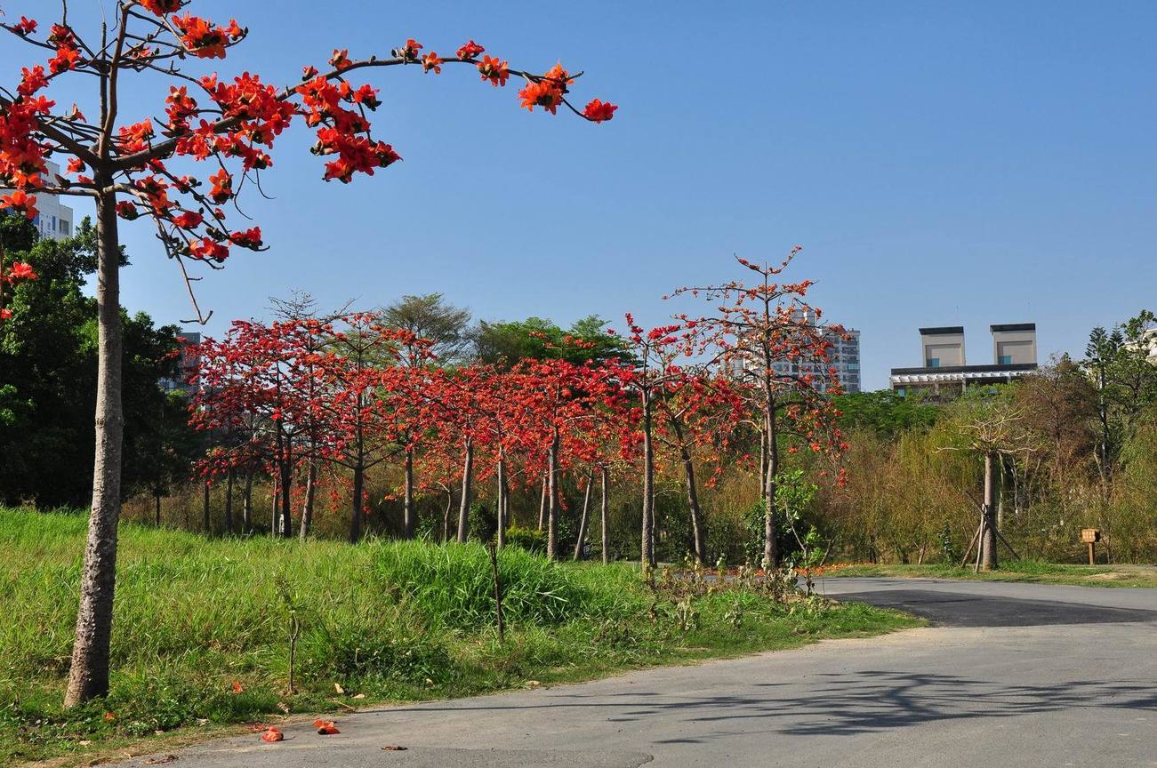 台南巴克禮公園_5