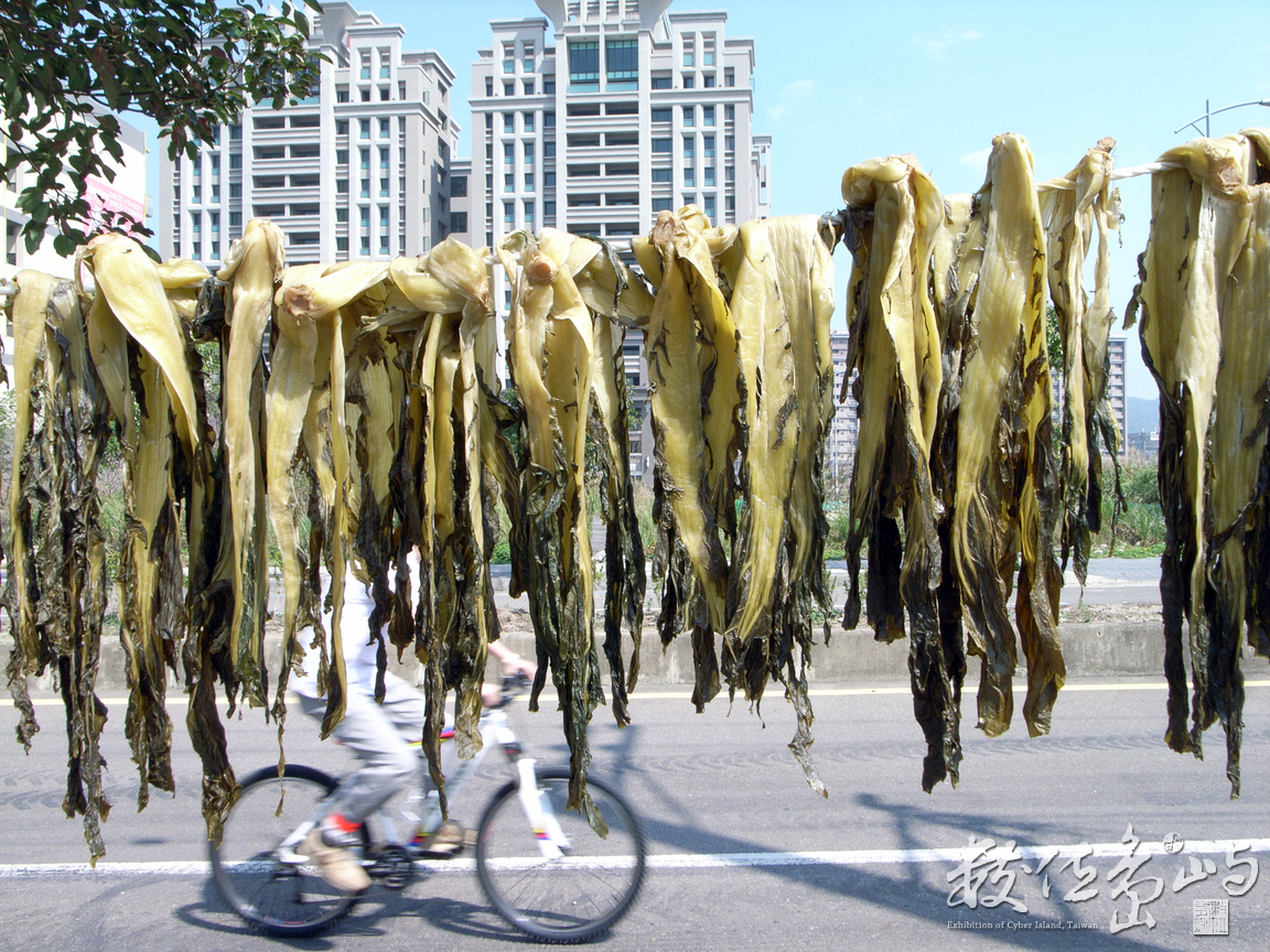 點石成金之六家庄