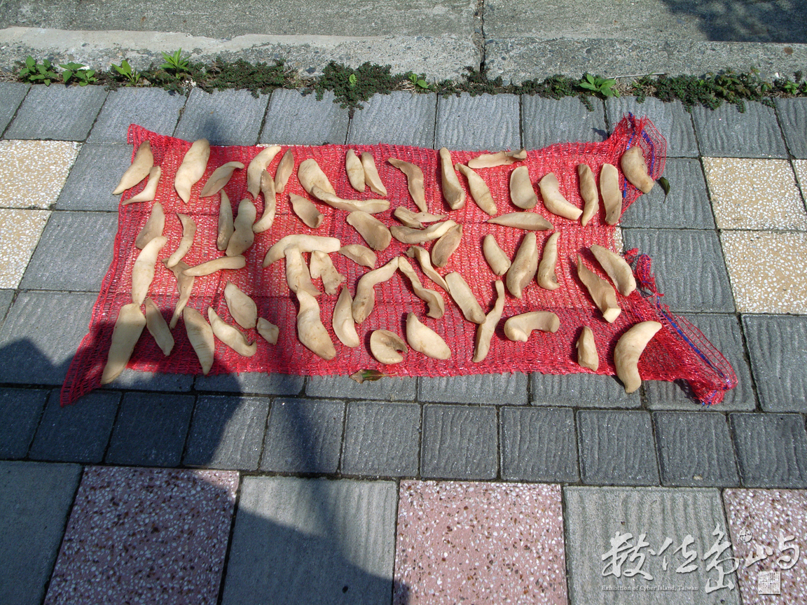 點石成金之六家庄