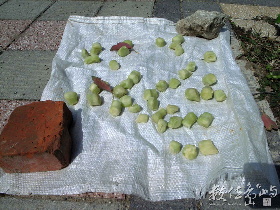 點石成金之六家庄