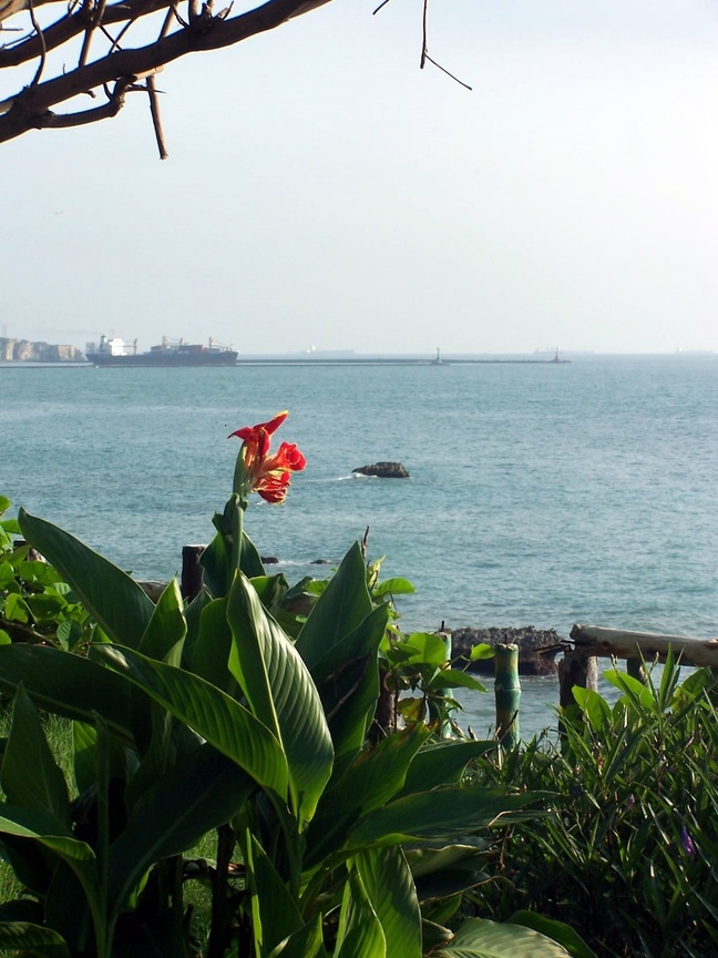 海洋天堂 095