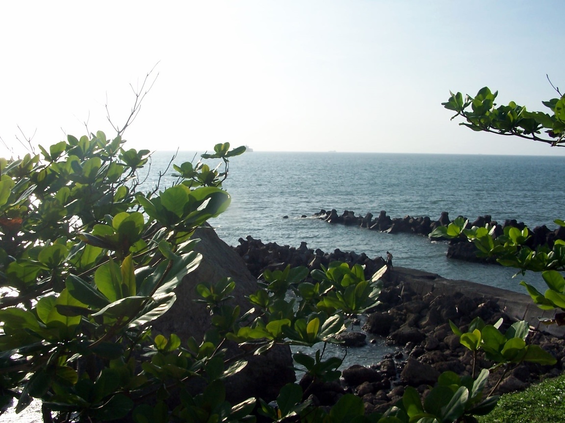 海洋天堂 099
