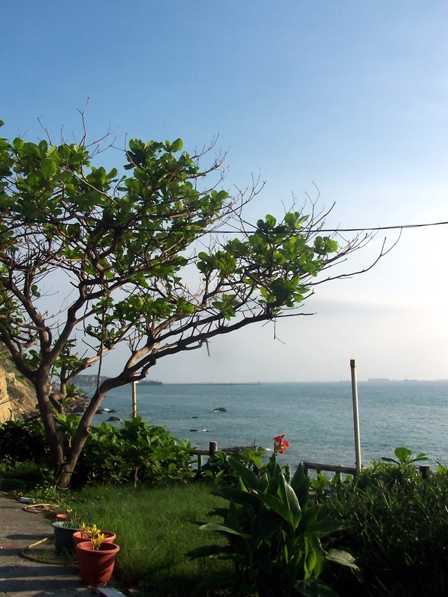 海洋天堂 093