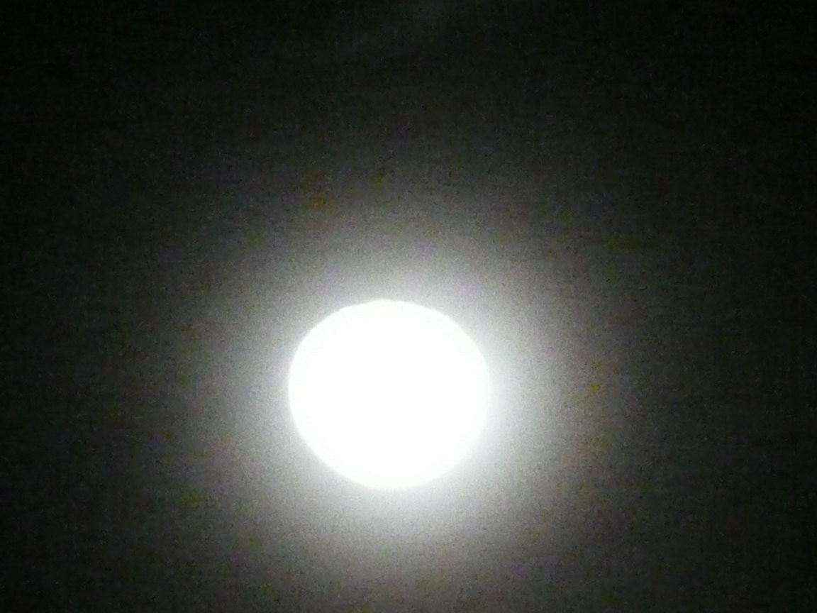 P1030083