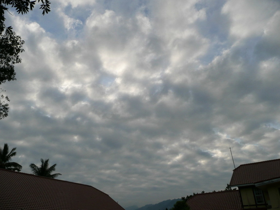 P1030021
