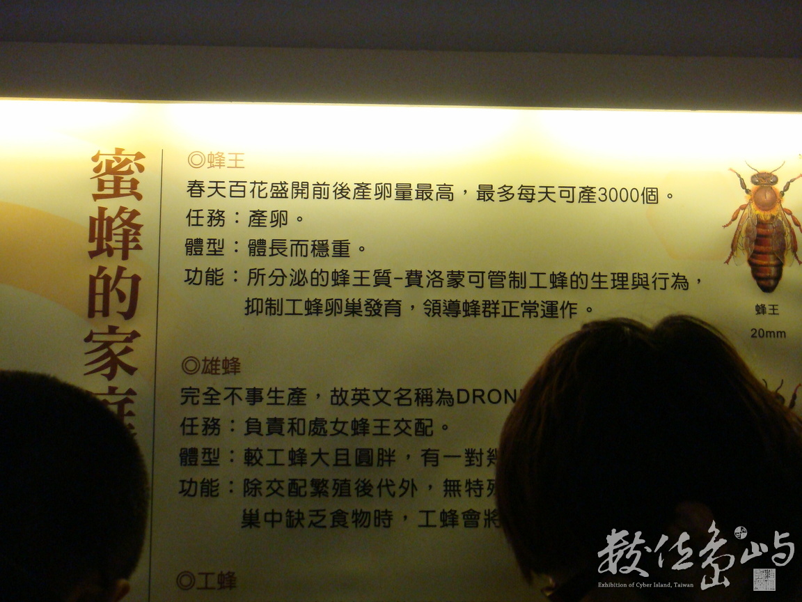 DSC00289