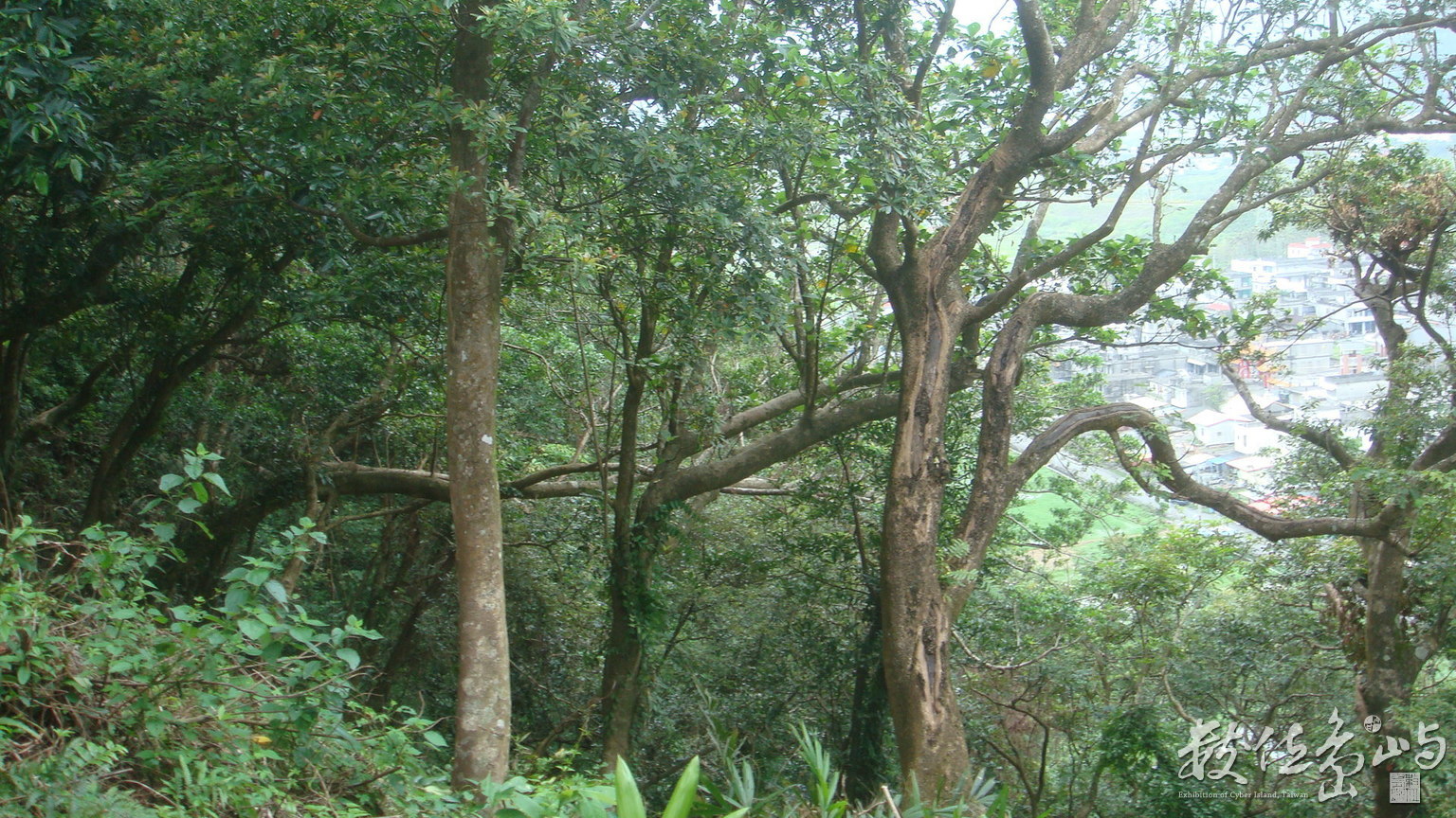 DSC03645