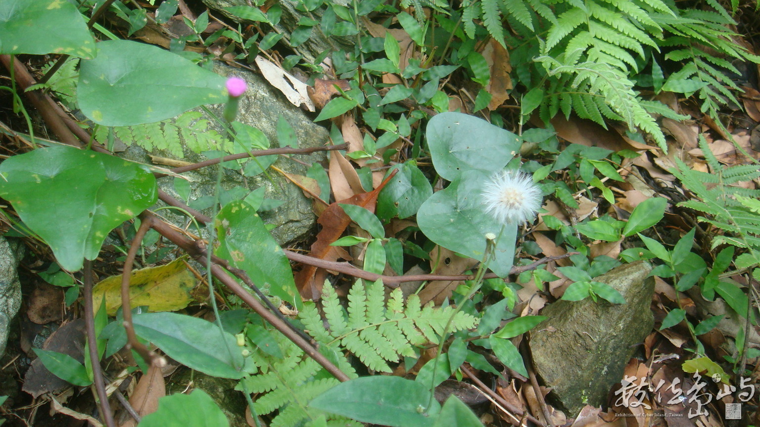 DSC03648