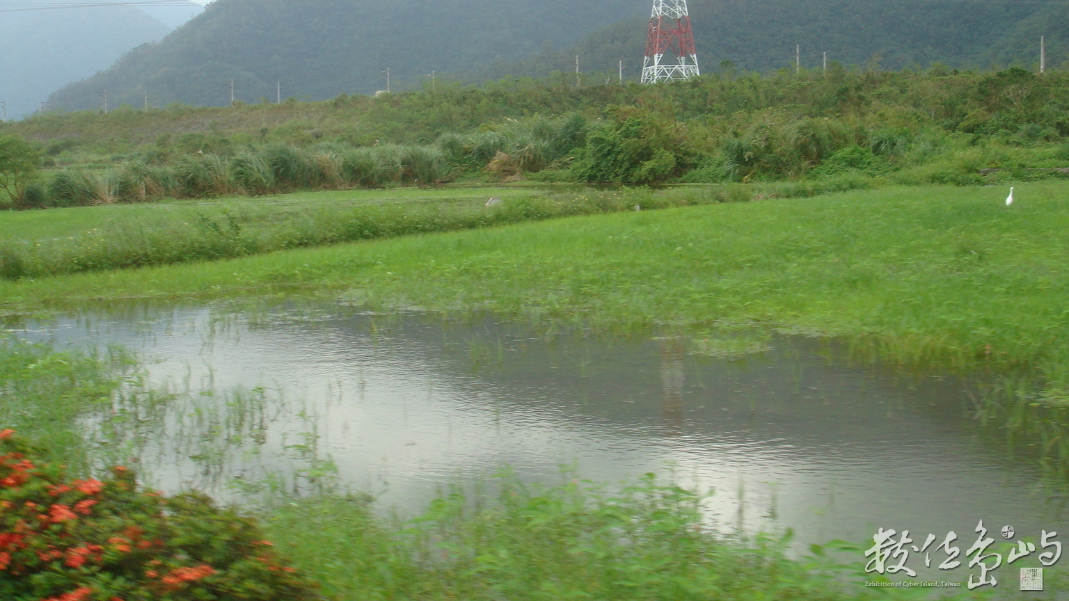 DSC03655