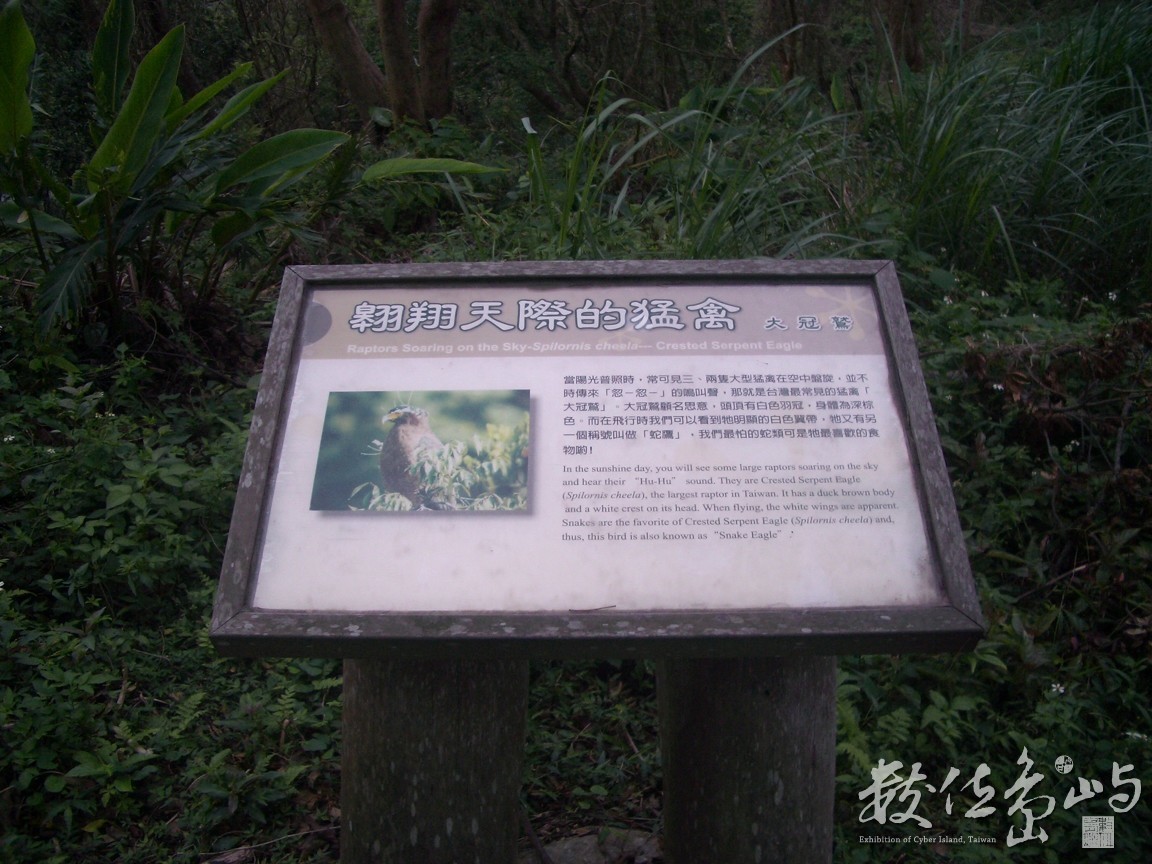 IMGP3866