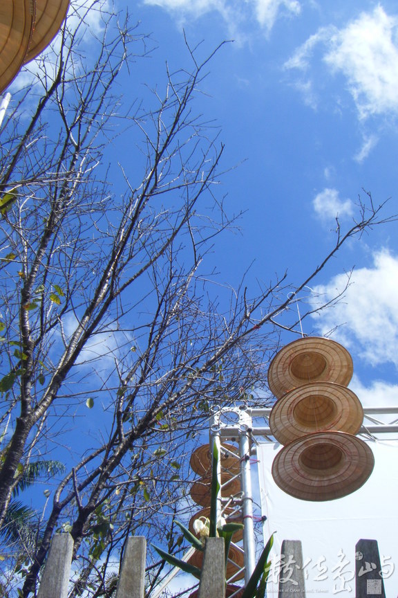 野薑花嚮藍的笑靨