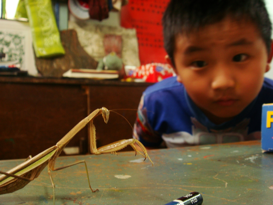 囧男孩的自然觀察