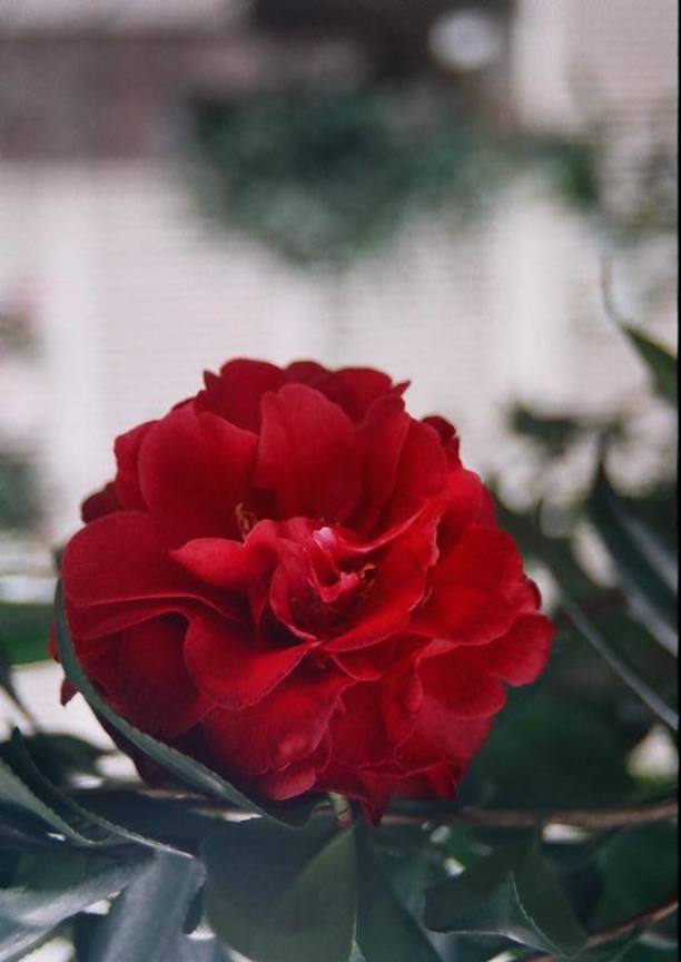 29  -030