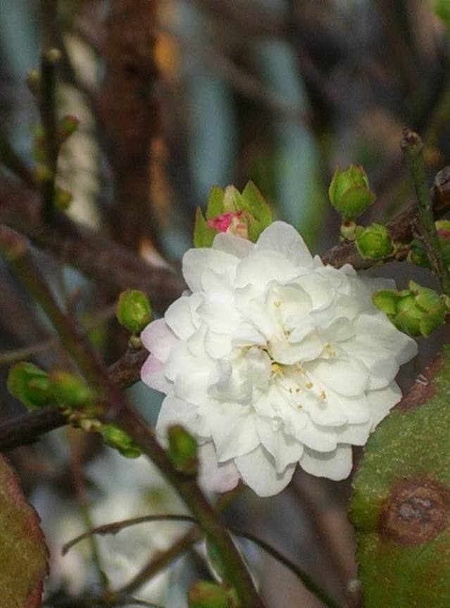 CIMG0063