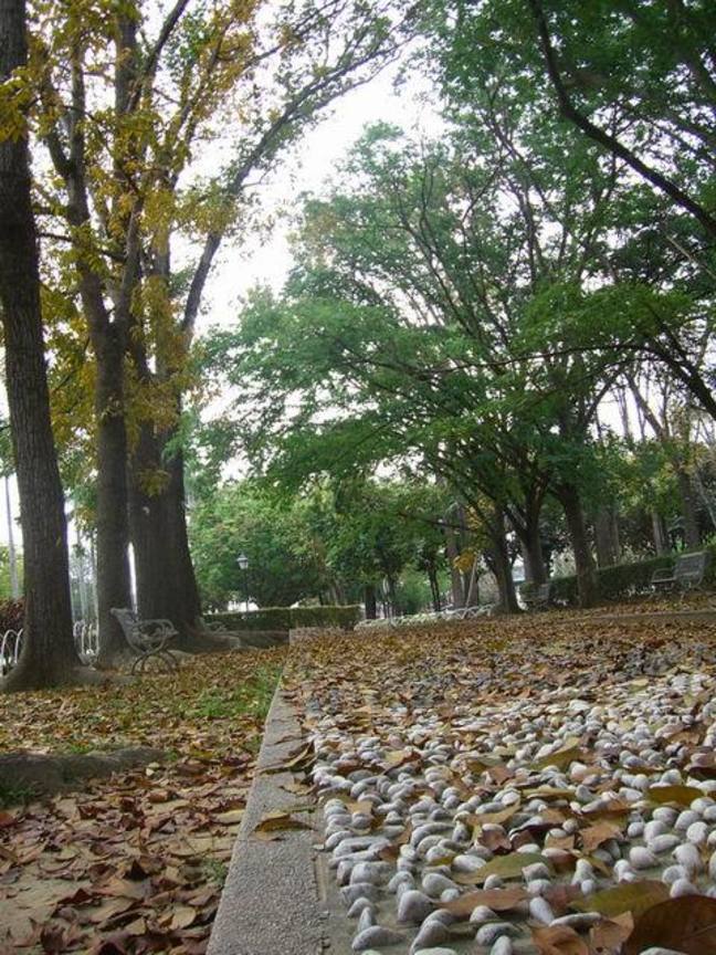 CIMG0107