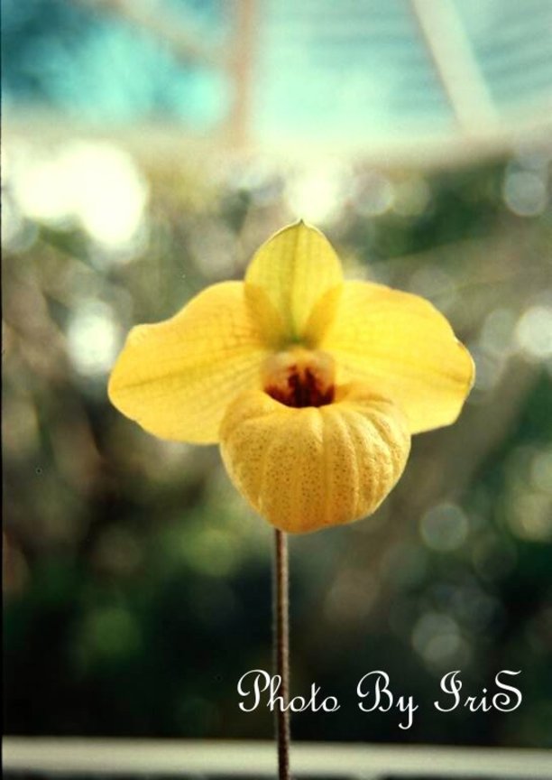  7  -008
