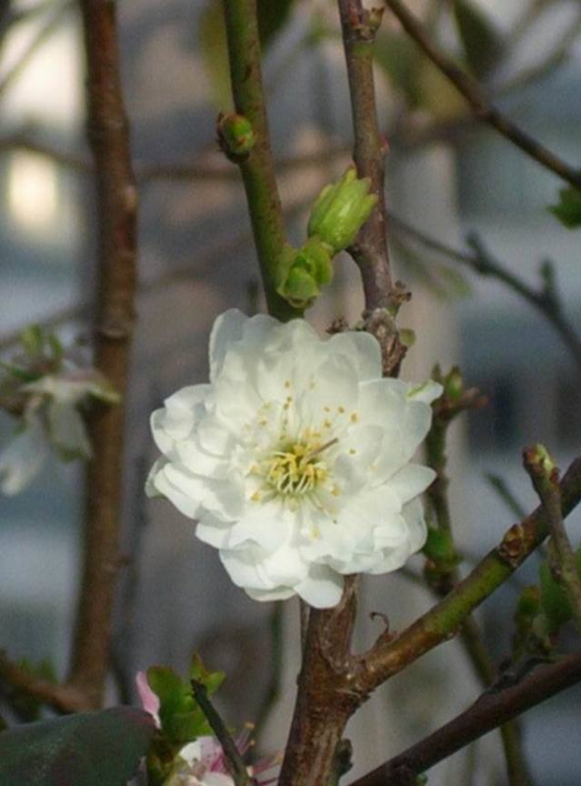 CIMG0059