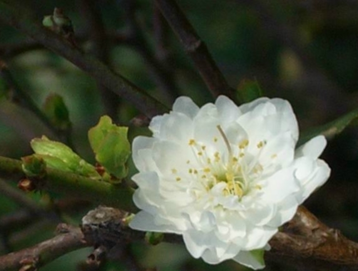 Cimg0058