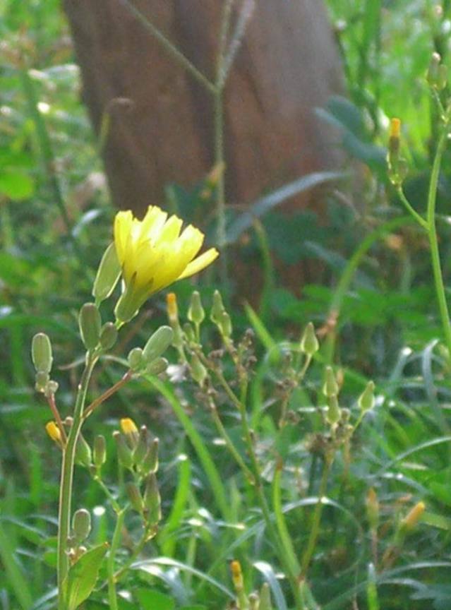 CIMG0055