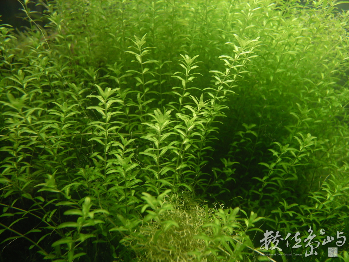 員山˙勝洋休閒農場