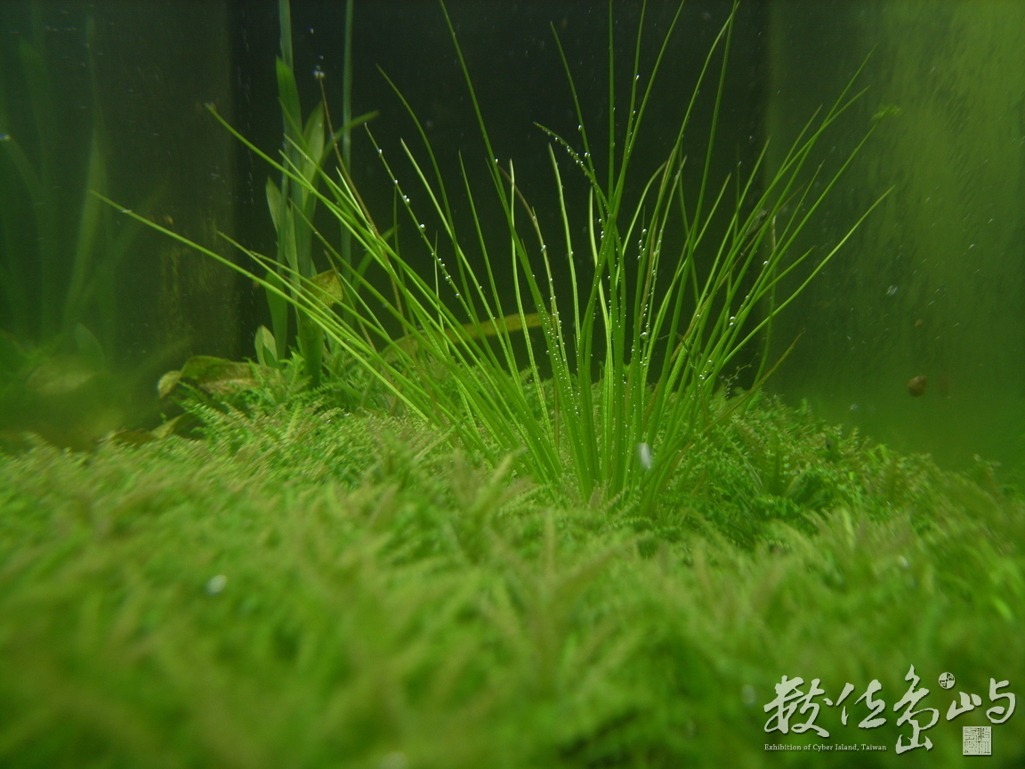 員山˙勝洋休閒農場