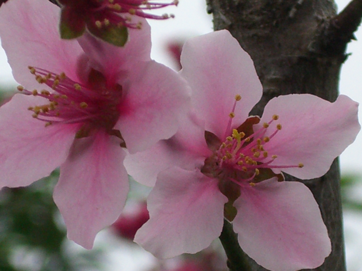 CIMG0206