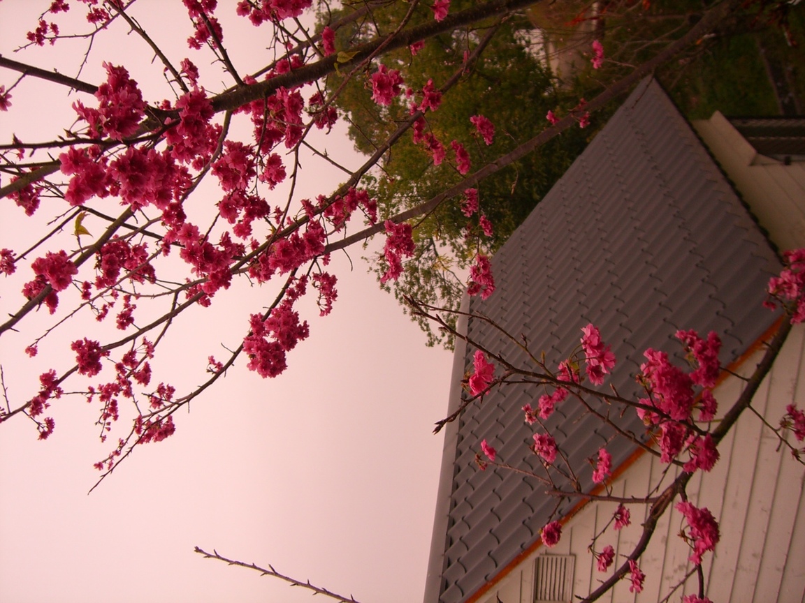 CIMG0202