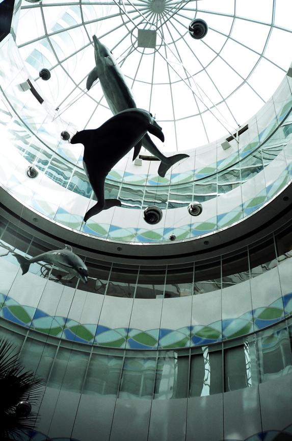 海戀　文/攝影：吉野星