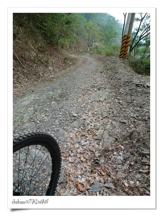 blog_15