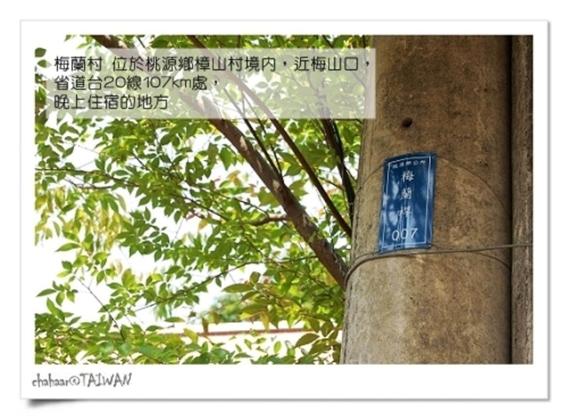 blog12