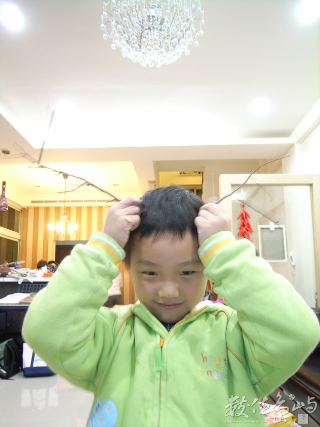 迷路的麋鹿