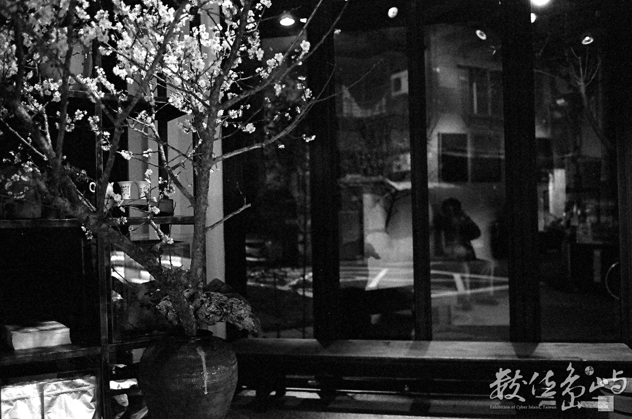 光陰樹下˙蔡永和個展˙人澹如菊茶書院