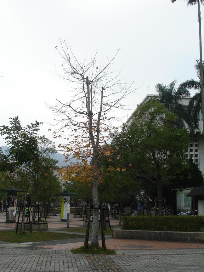 DSC03771