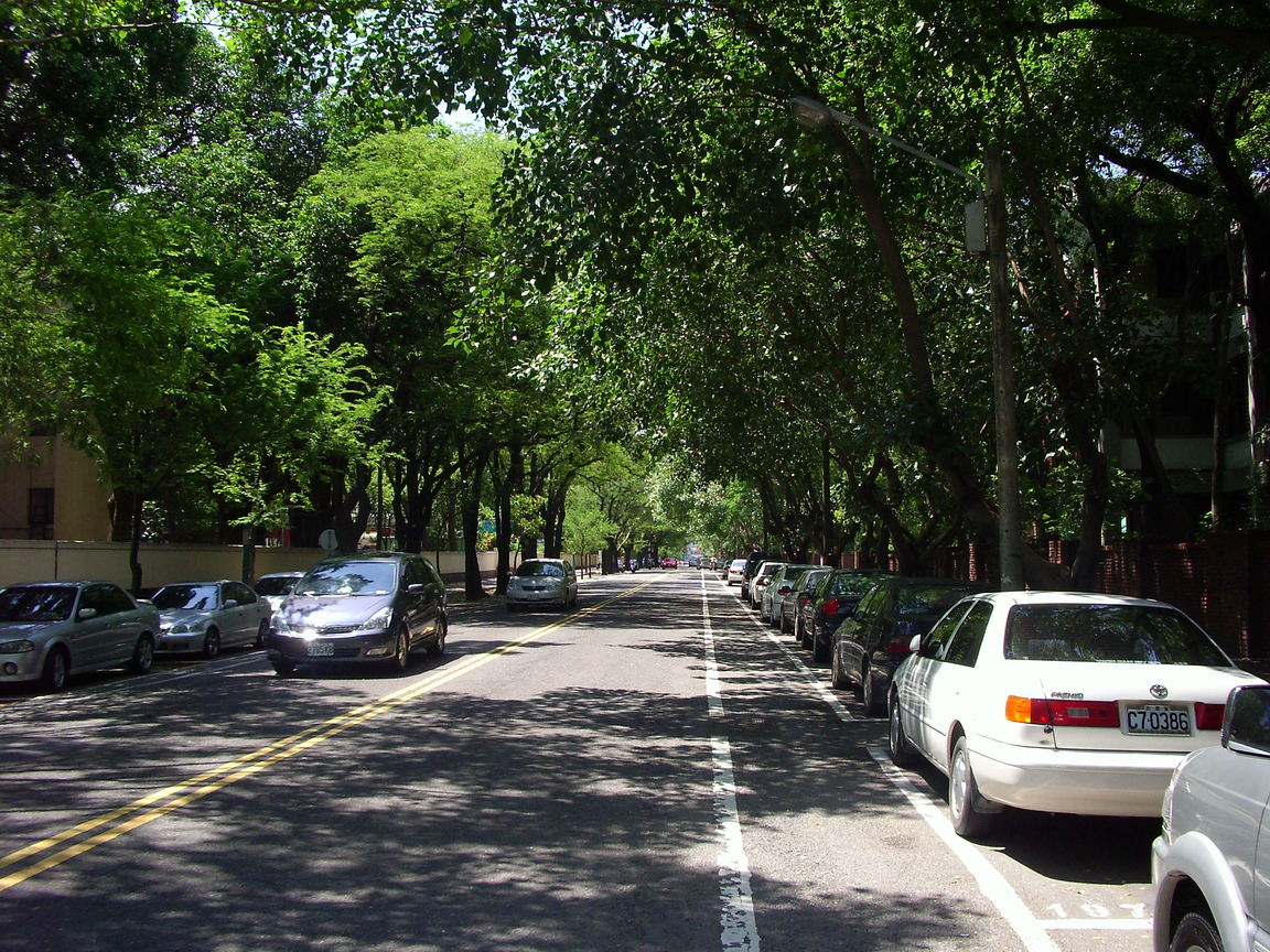 成大旁某綠蔭道