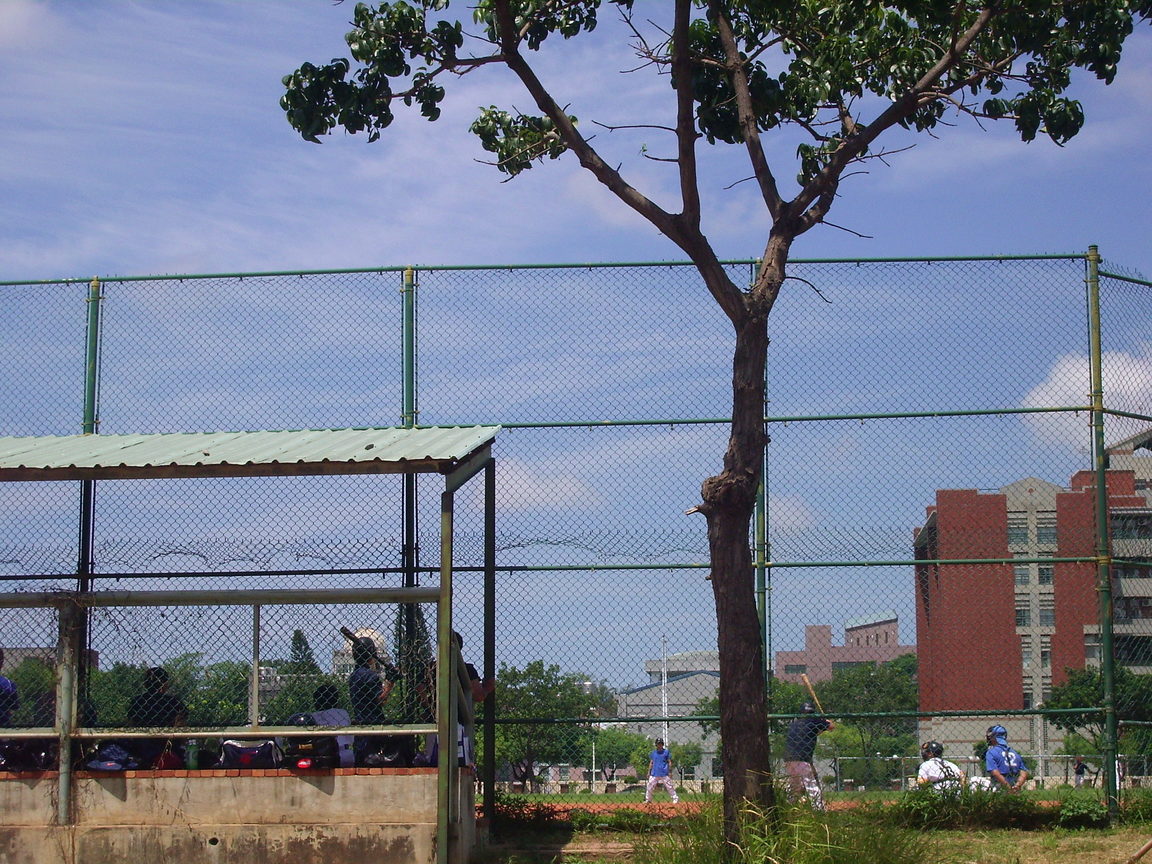 成大棒球場