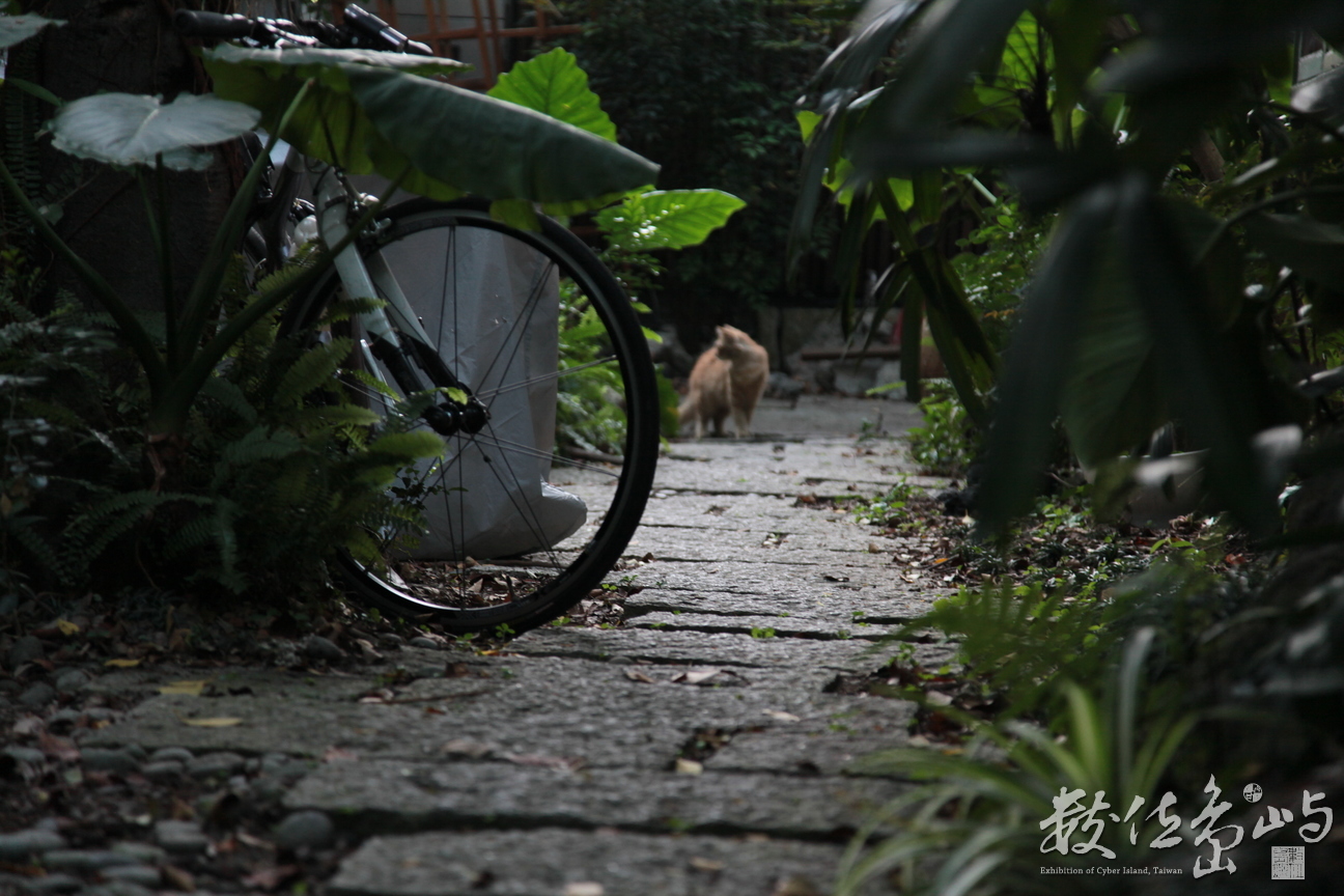 2013年0317台北_30