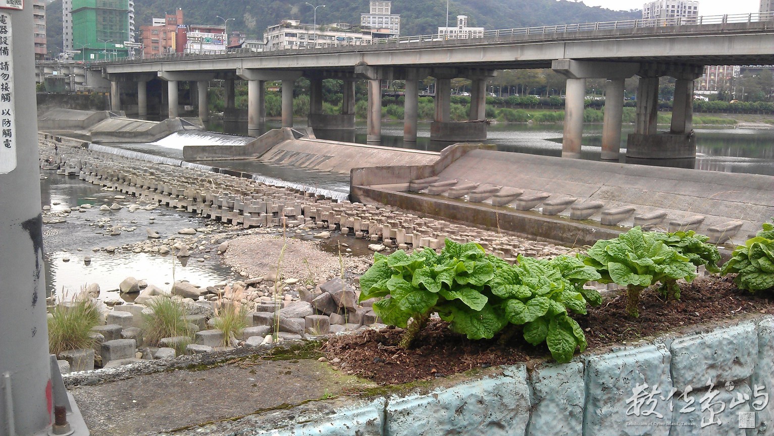 2013年0301台北(新店溪)_22