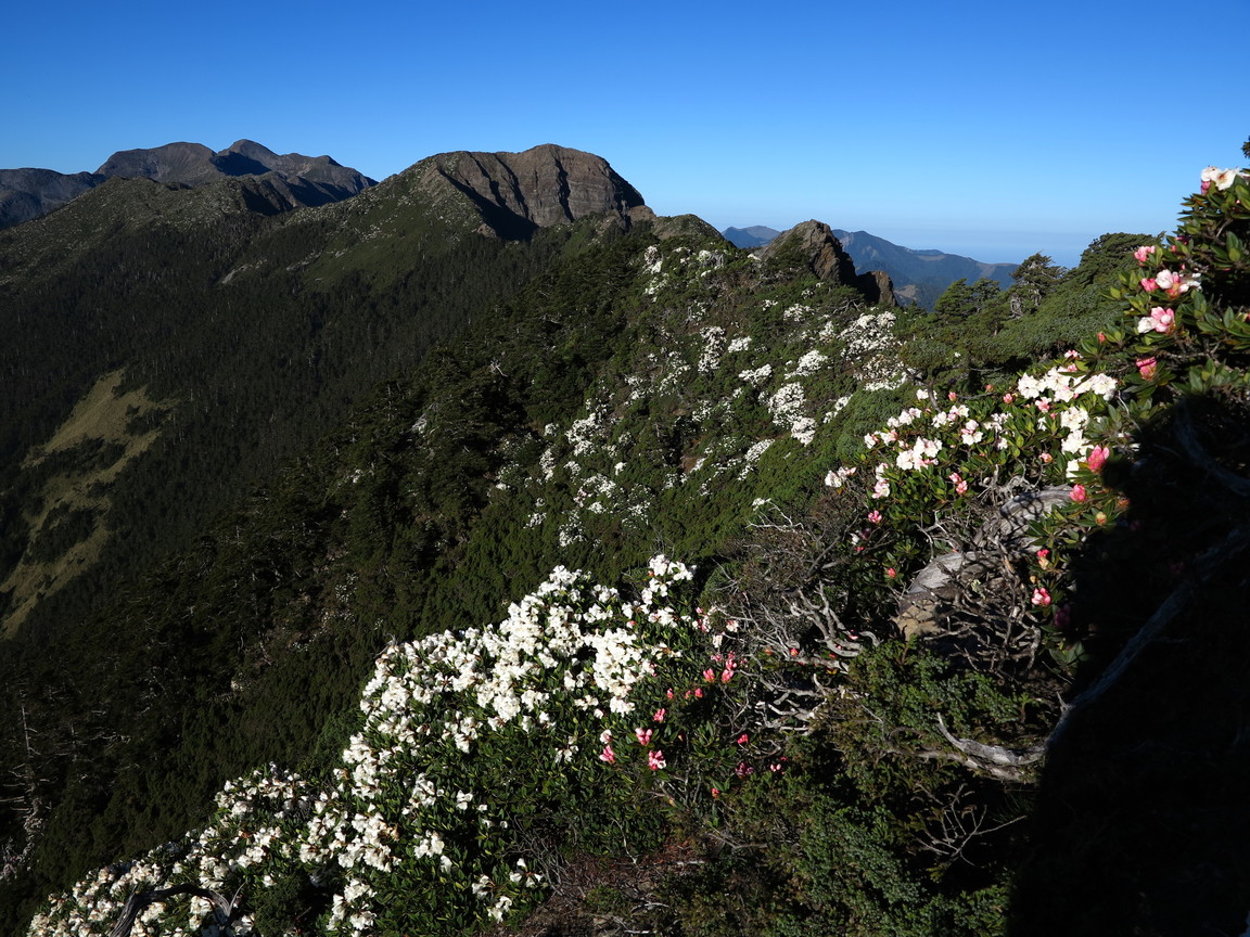 〈雪山北峰主峰北稜角及圈谷〉