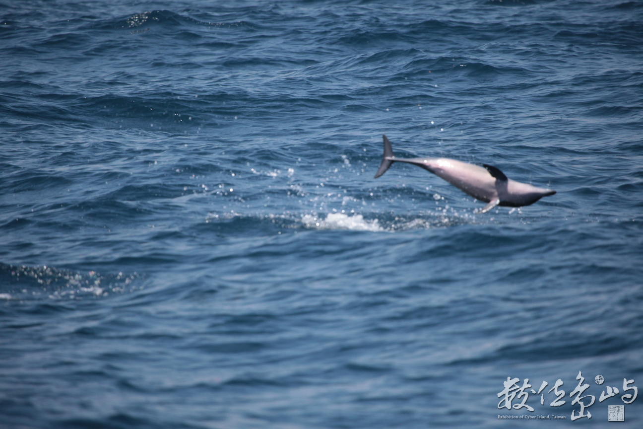 2013年0907高科大行銷所(龜山島)_194