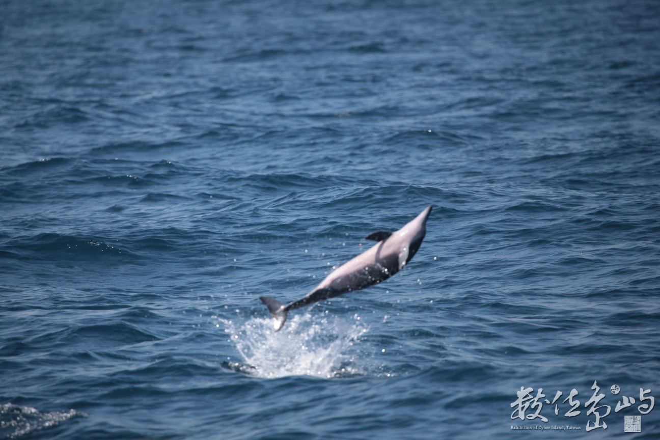 2013年0907高科大行銷所(龜山島)_193