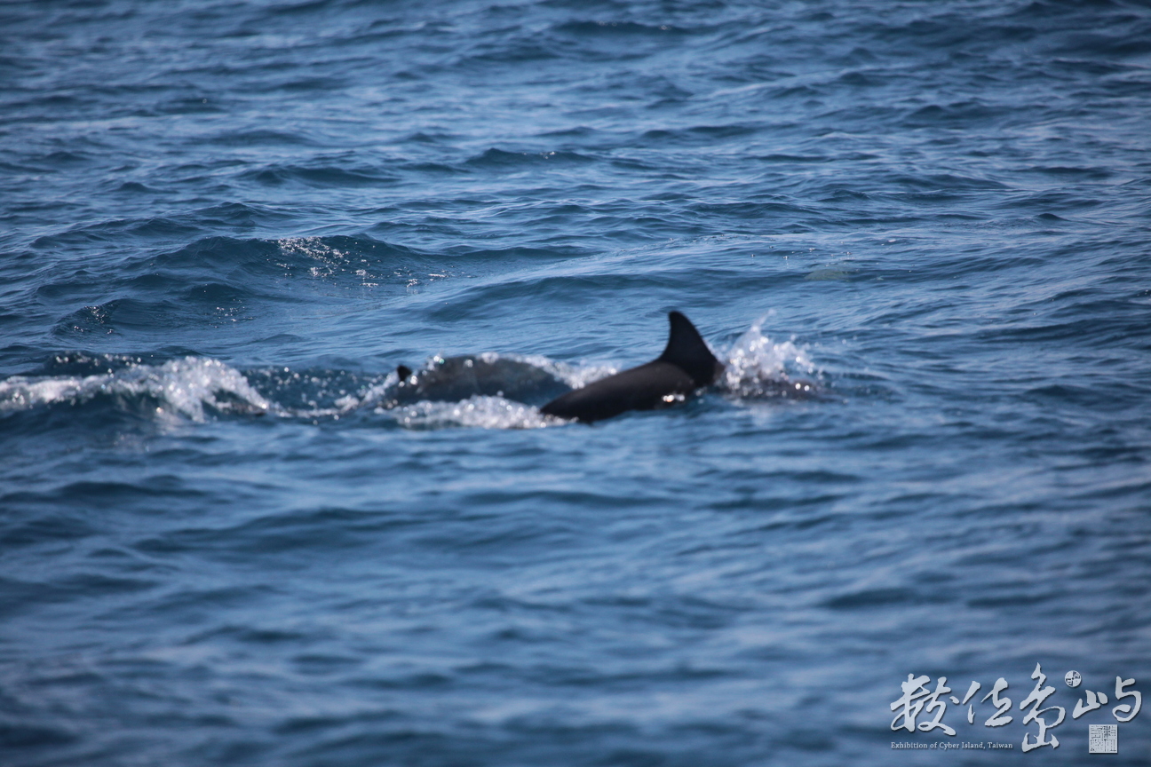 2013年0907高科大行銷所(龜山島)_192