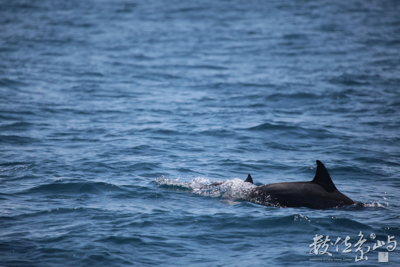 2013年0907高科大行銷所(龜山島)_199