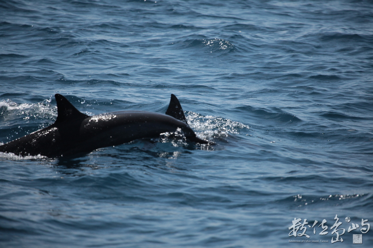 2013年0907高科大行銷所(龜山島)_208