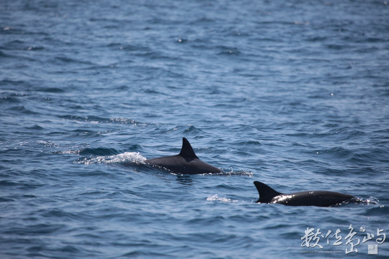 2013年0907高科大行銷所(龜山島)_204